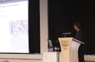 Endoszkópos Szekció 2013-as Vándorgyűlés